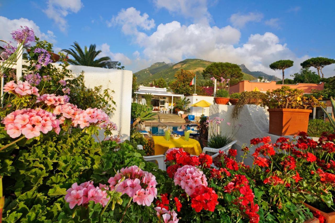 Forio di Ischia Hotel Villa Mena מראה חיצוני תמונה
